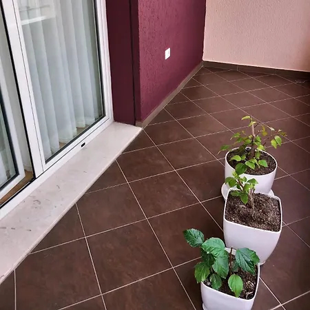 Casa * Vlorë